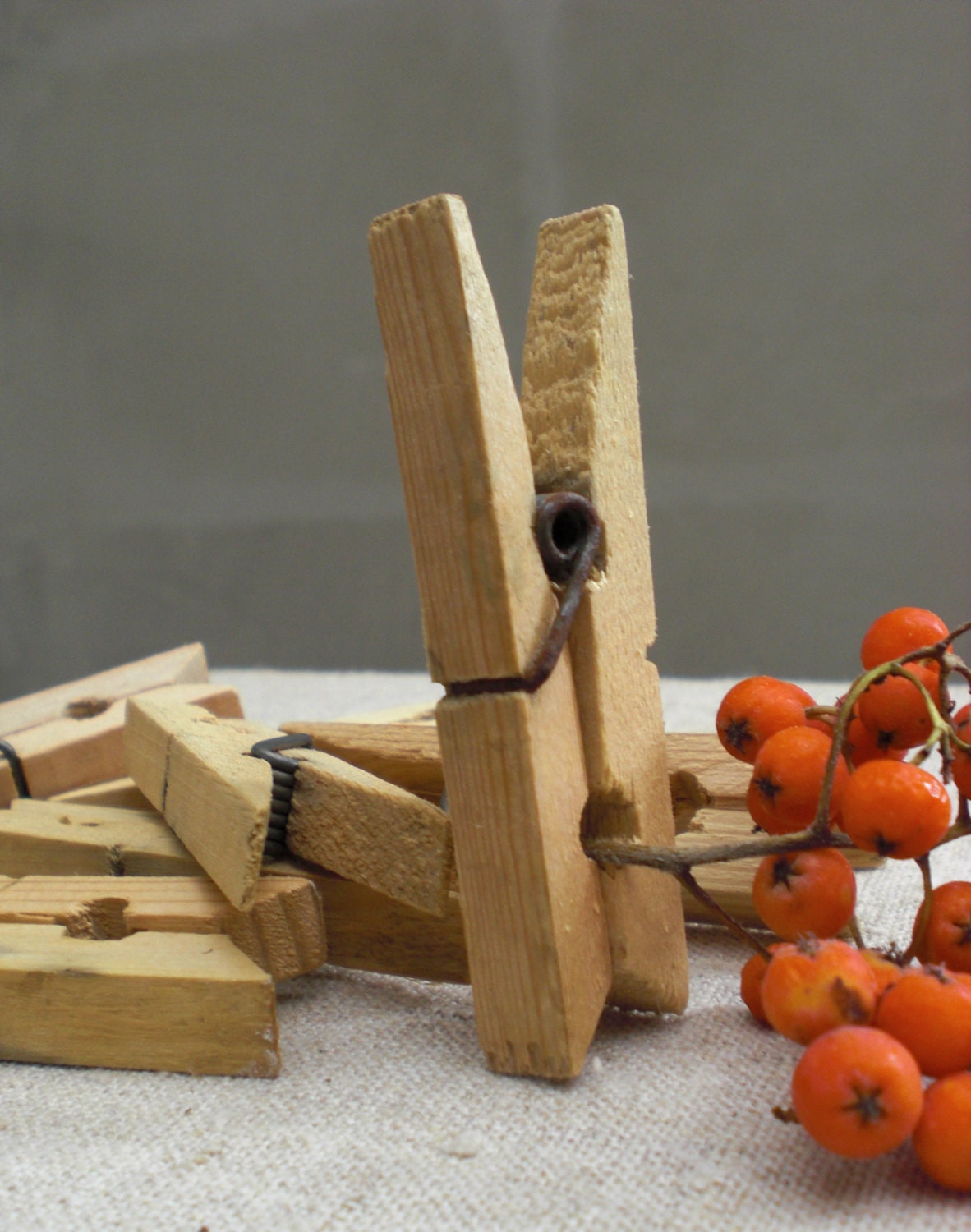 9 clothespins clothes pin pegs rustic natural wood metal wire