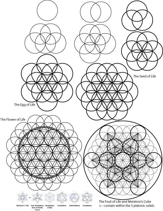 A visual description of how to draw the Flower of Life and