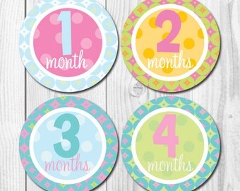 FREE GIFT Monthly Baby Bodysuit Stickers, Baby Girl Monthly Stickers, Baby Month Stickers -Months 1-12, pastel colors