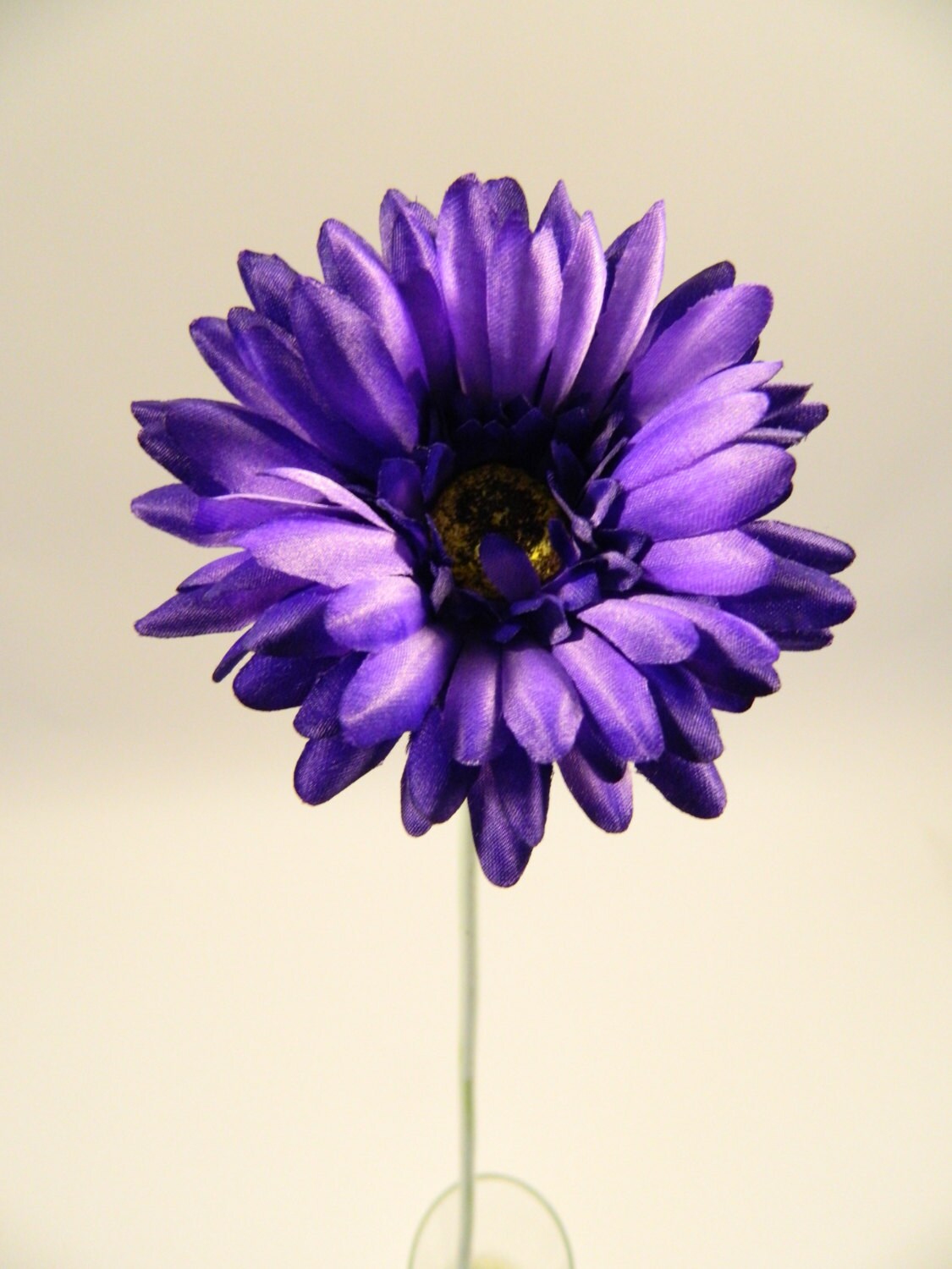 Gerbera Daisy in Purple 24 Tall