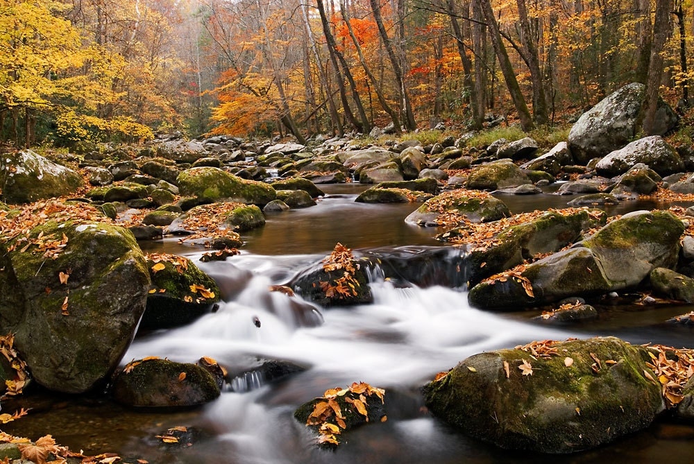 Mountain Stream Photograph Fine Art Print Nature