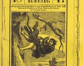 Plaid Skirts & Converse #5