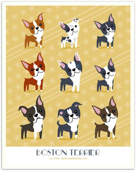 BOSTON TERRIERS art print