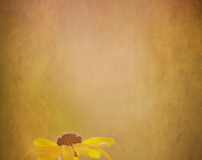 GOLDEN photography print- sunflower, sunshower, light, yellow, sun, summer, sunlight, textures, flowers