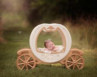 Princess Carriage Prop, Carriage Prop, Cinderella Carriage Prop, Newborn Photo Prop, Newborn Photography Prop