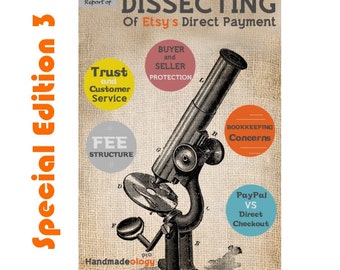 Dissecting Etsy's Direct Checkout - Special Edition - Issue 3 - Paypal