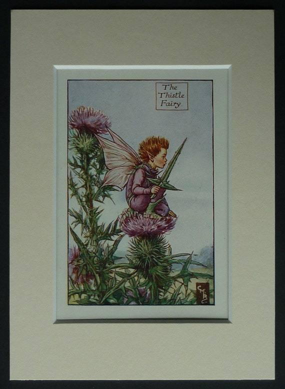 The Thistle Fairy By Cicely Mary Barker 1925 Print Flower