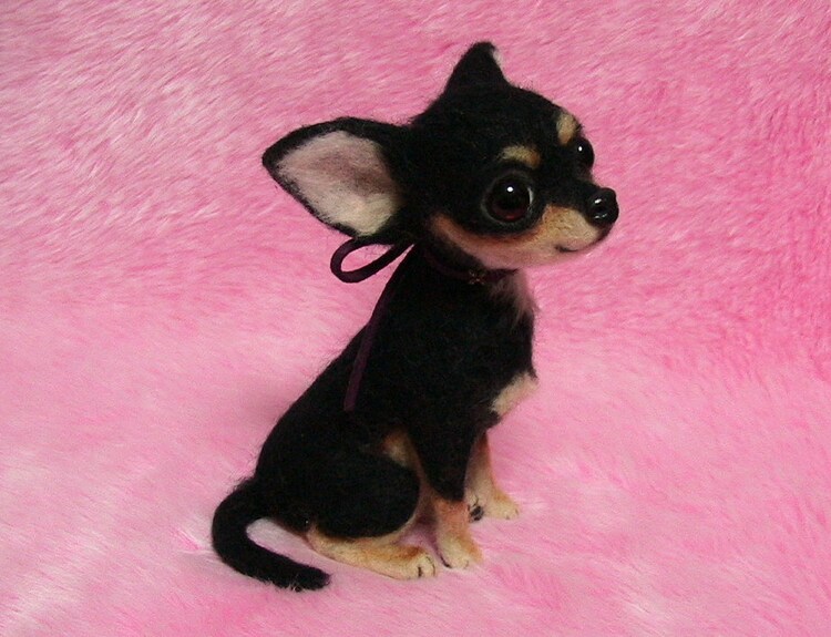 stuffed black chihuahua