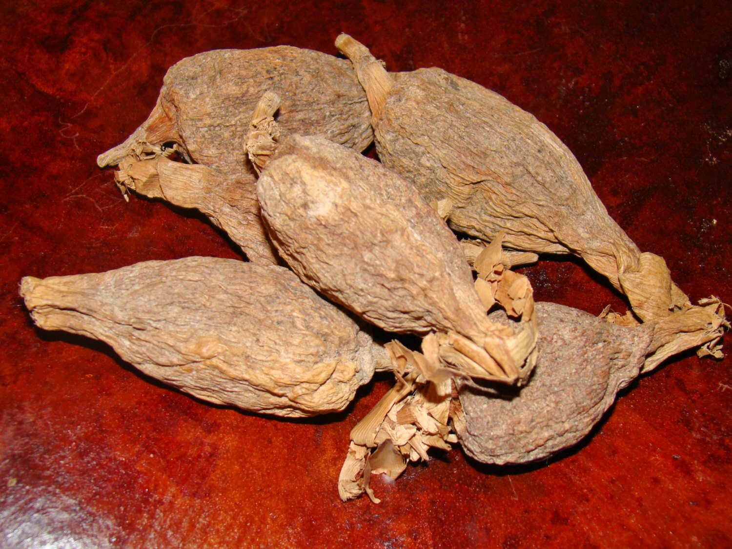 Two Pods Ataare Pepper Yoruba African Guinea Pepper for Ritual