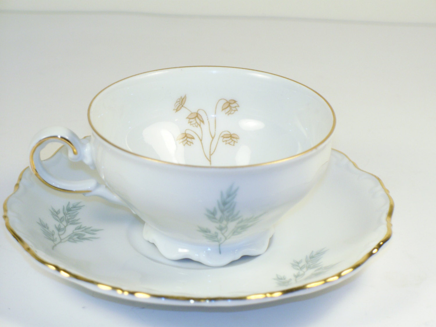 Seltmann Weiden-E. Bavaria Theresia Cup & Saucer Porcelain