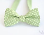 Polka Dot Pale Green Bow Tie / cotton bow tie / mens bow tie / green bow tie / polka dot green bow tie / apple green bow tie
