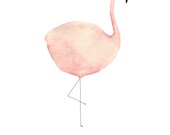 Postcard: Fat Flamingo!