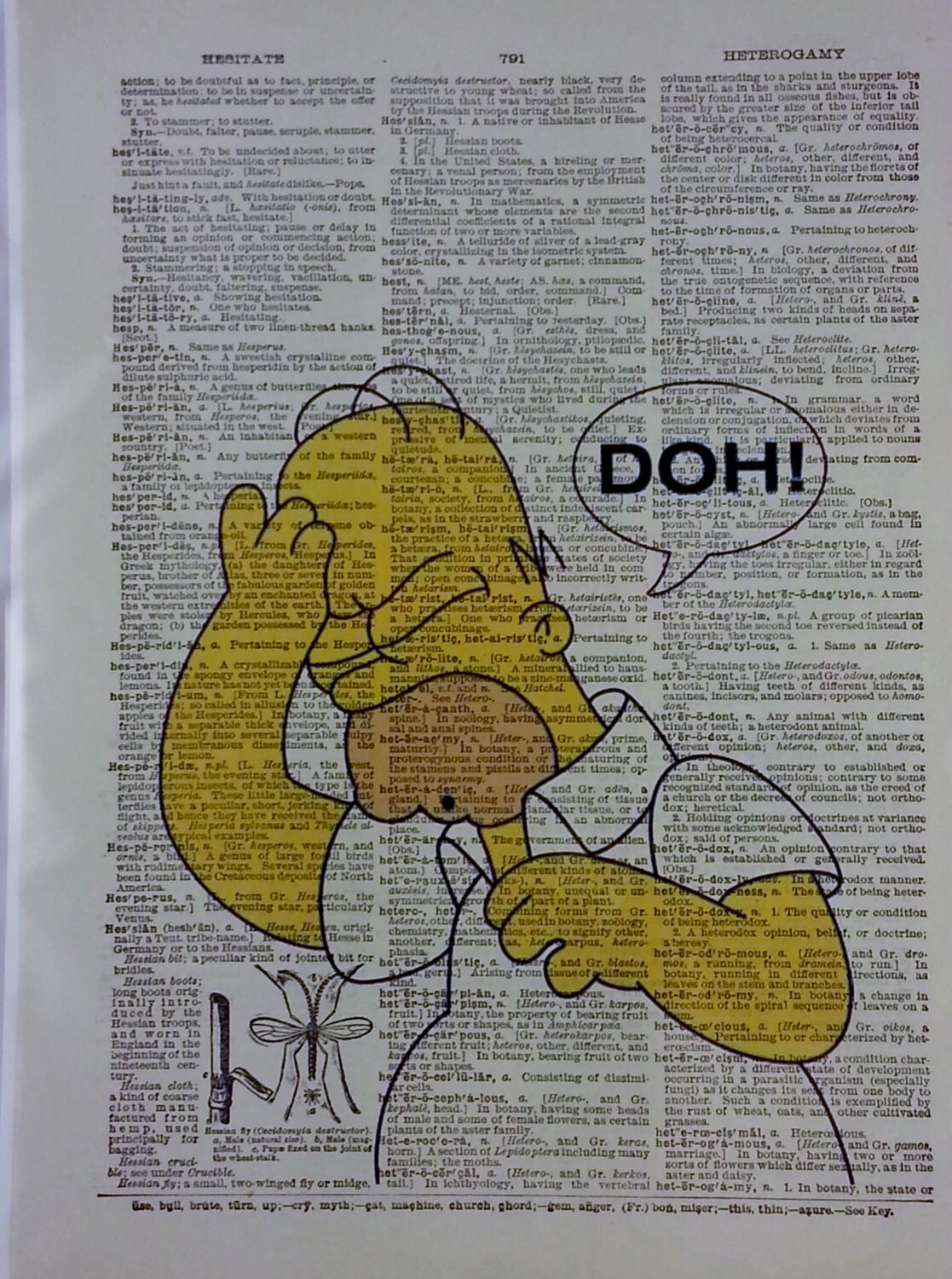 Homer Simpson DOH Dictionary Art