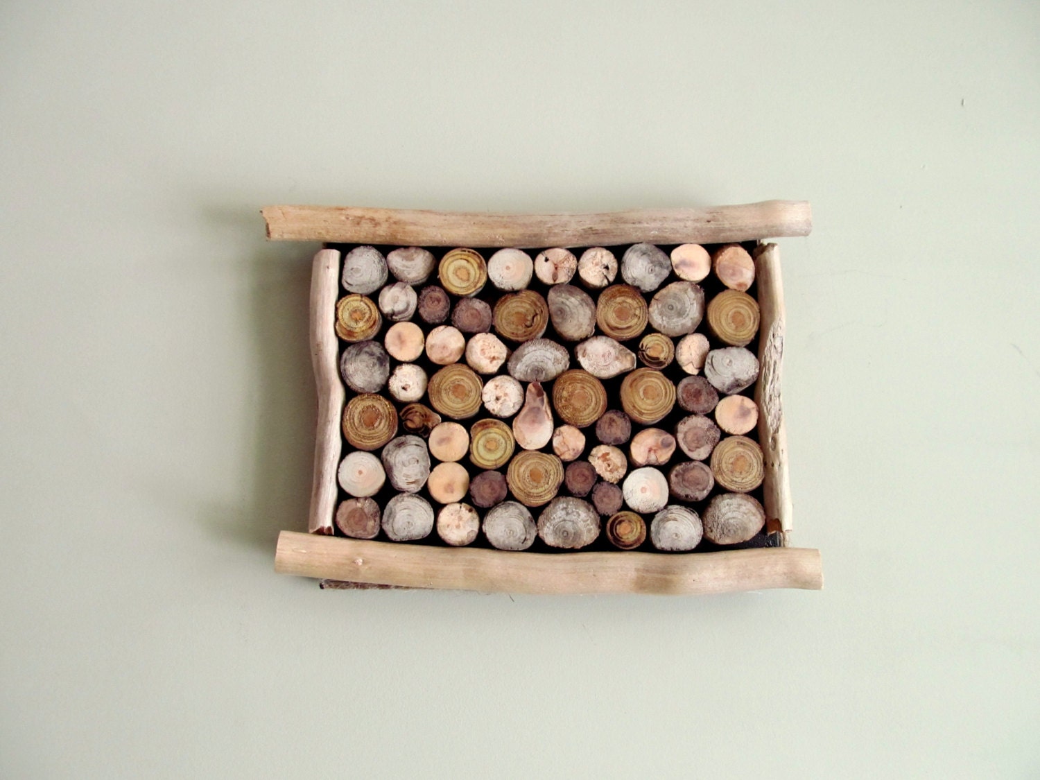 Driftwood Slice Hanging Art Wall Hanging Driftwood Art