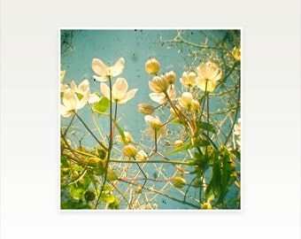 Nature Photography, Flower Art, Shabby Chic Decor, Spring, Floral - Look Up and You Will See