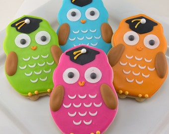 Graduation Owl Cookies - 12 Decorated Sugar Cookie Favors