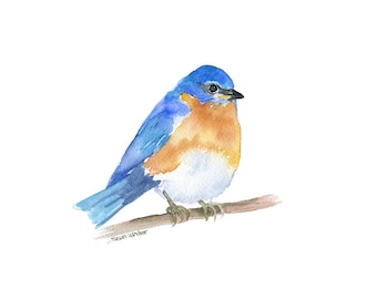 Items similar to Bluebird Painting ART BO29 Archival print of ...