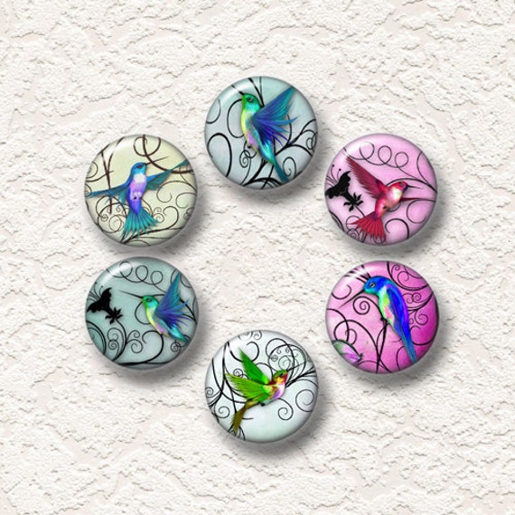 items similar to hummingbird magnets set of 6 magnets 1 25 quot in size 6 001m on etsy items similar to hummingbird magnets set of 6 magnets 1 25 quot in size 6 001m on etsy