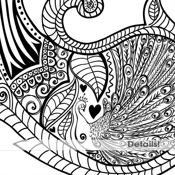 paisley peacock coloring pages - photo #9