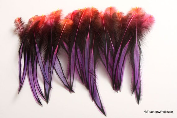 Decorative Feathers Arts Craft Feathers Orange Pink Purple