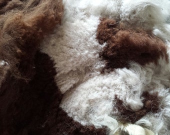 Alpaca Multi Color Fleece Spinning Fiber from Colorado Ancient Treasures