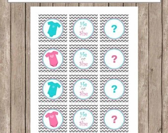 Gender Reveal Cupcake Toppers, Chevron Baby Shower Cupcake Toppers, Universal Circles - GenderReveal3 INSTANT DOWNLOAD