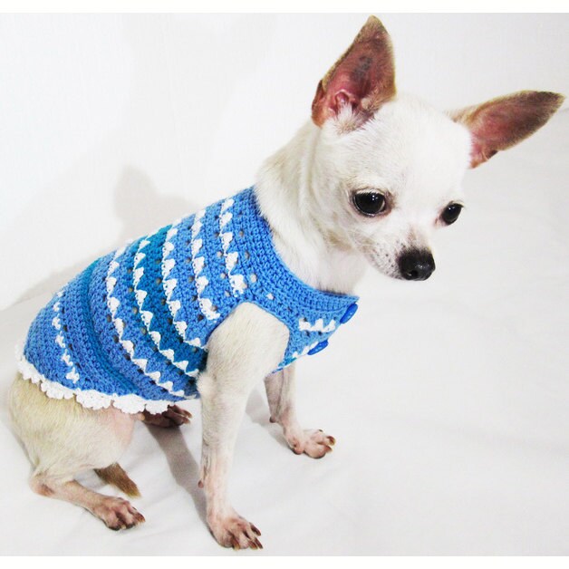 Blue Dog Clothes Boy Turquoise Fashion Teacup Chihuahua Puppy
