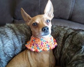 crocheted dog cowl poncho capelet fits most XS or S dogs ~ tangerine gumdrop ~