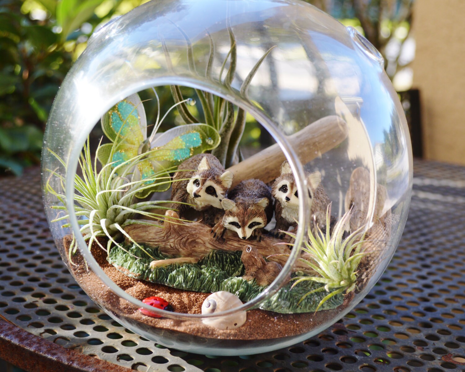 Woodland Raccoon Terrarium Large 7 Glass Hanging