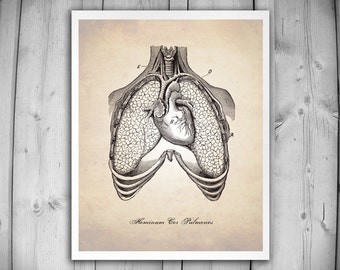 Popular items for heart drawing on Etsy