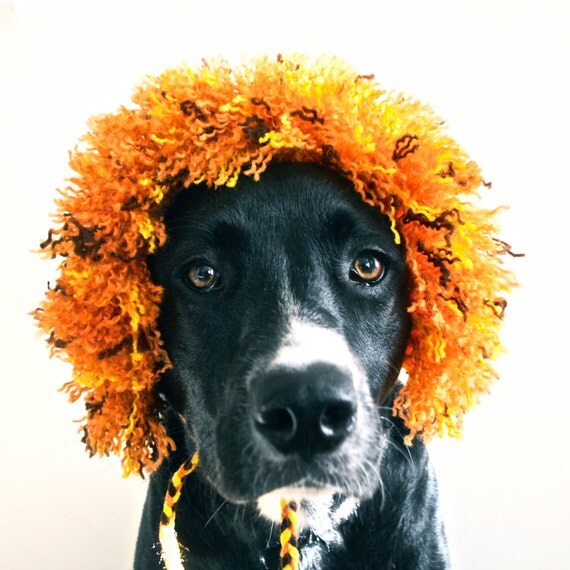 Download Lion Costume for Dogs Half Mane Hand Knit Dog Hat Custom