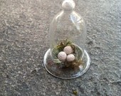 Cream Speckled Acorn Nest