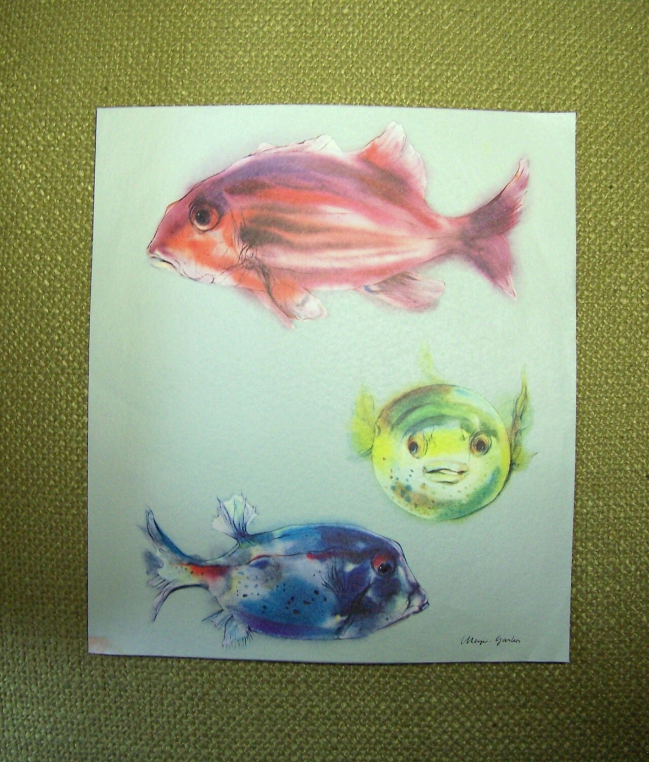 Cm X Cm Red Yellow Art Glass Tropical Fish Cm X Cm Red Yellow Art Glass Tropical Fish
