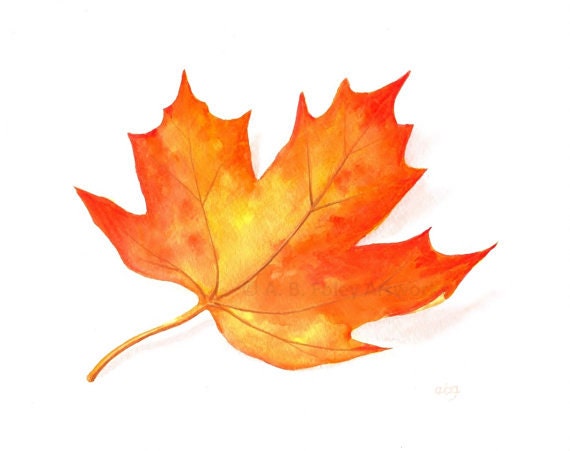 Finnish Word Of The Day - leaf Finnish Word Of The Day - leaf