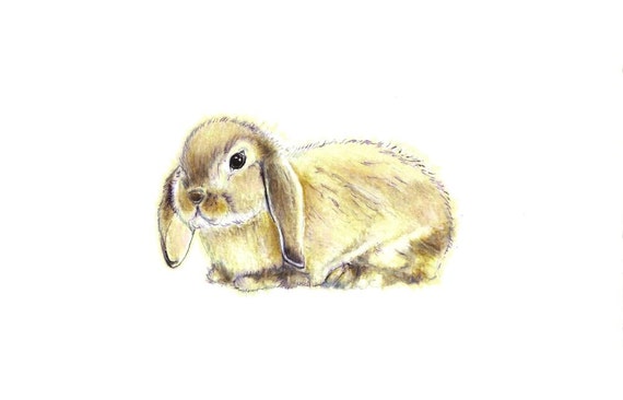 Velveteen Rabbit Print: digital print of an original drawing