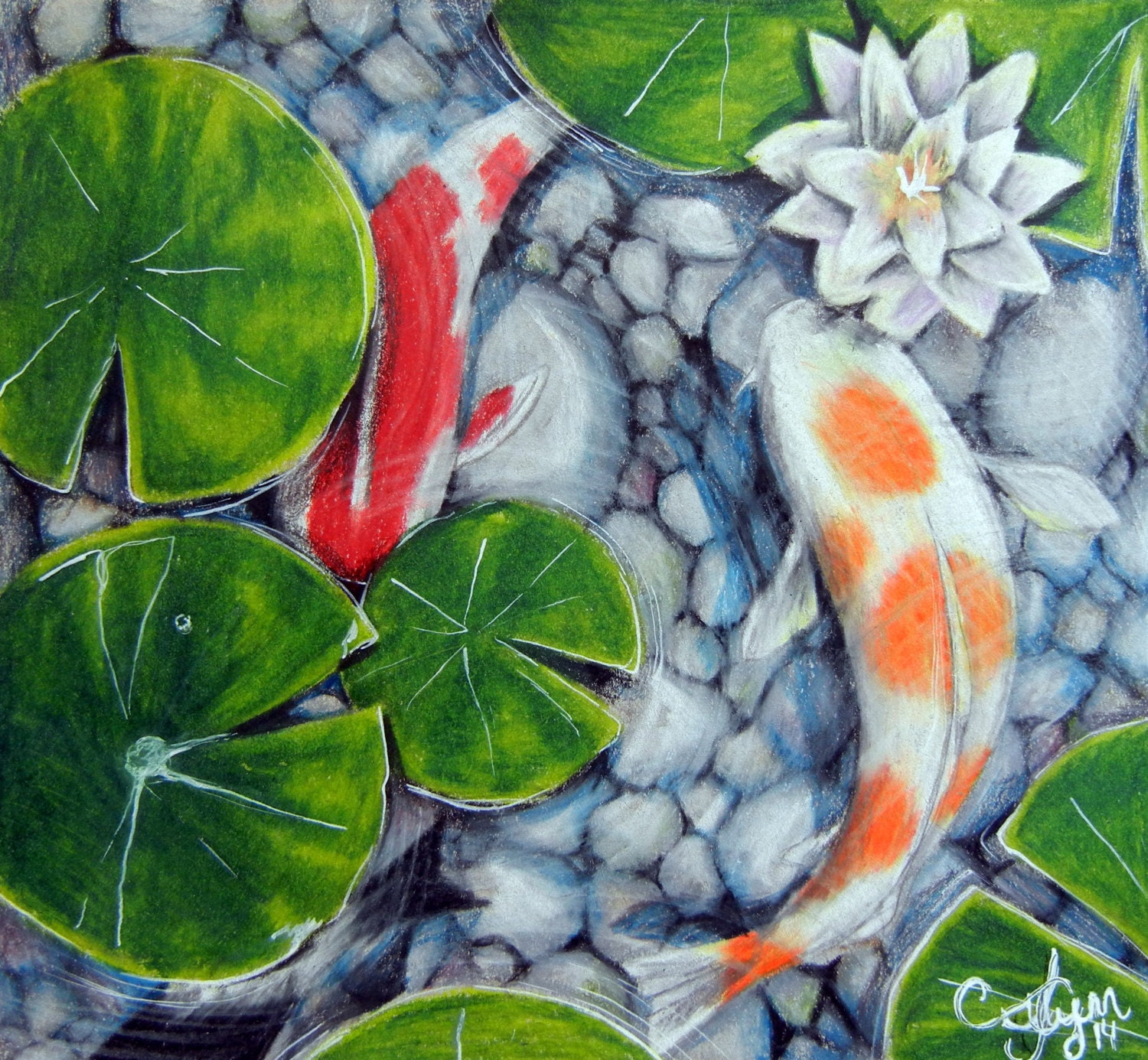 Koi Pond Original Artwork Colored Pencil by CutieCollectable