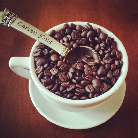 Freshly Roasted Coffee with Chicory NOLA Blend Gourmet