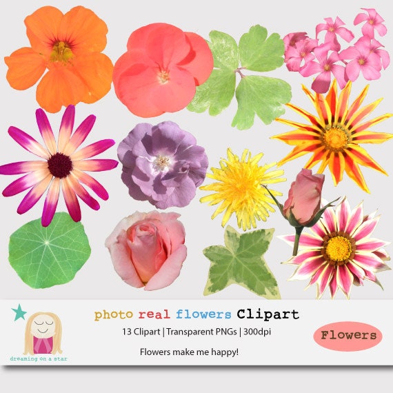 free clip art real flowers - photo #8