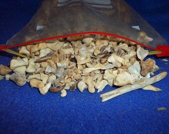 Real bone assorted animal teeth claws part taxidermy jaw skull weird