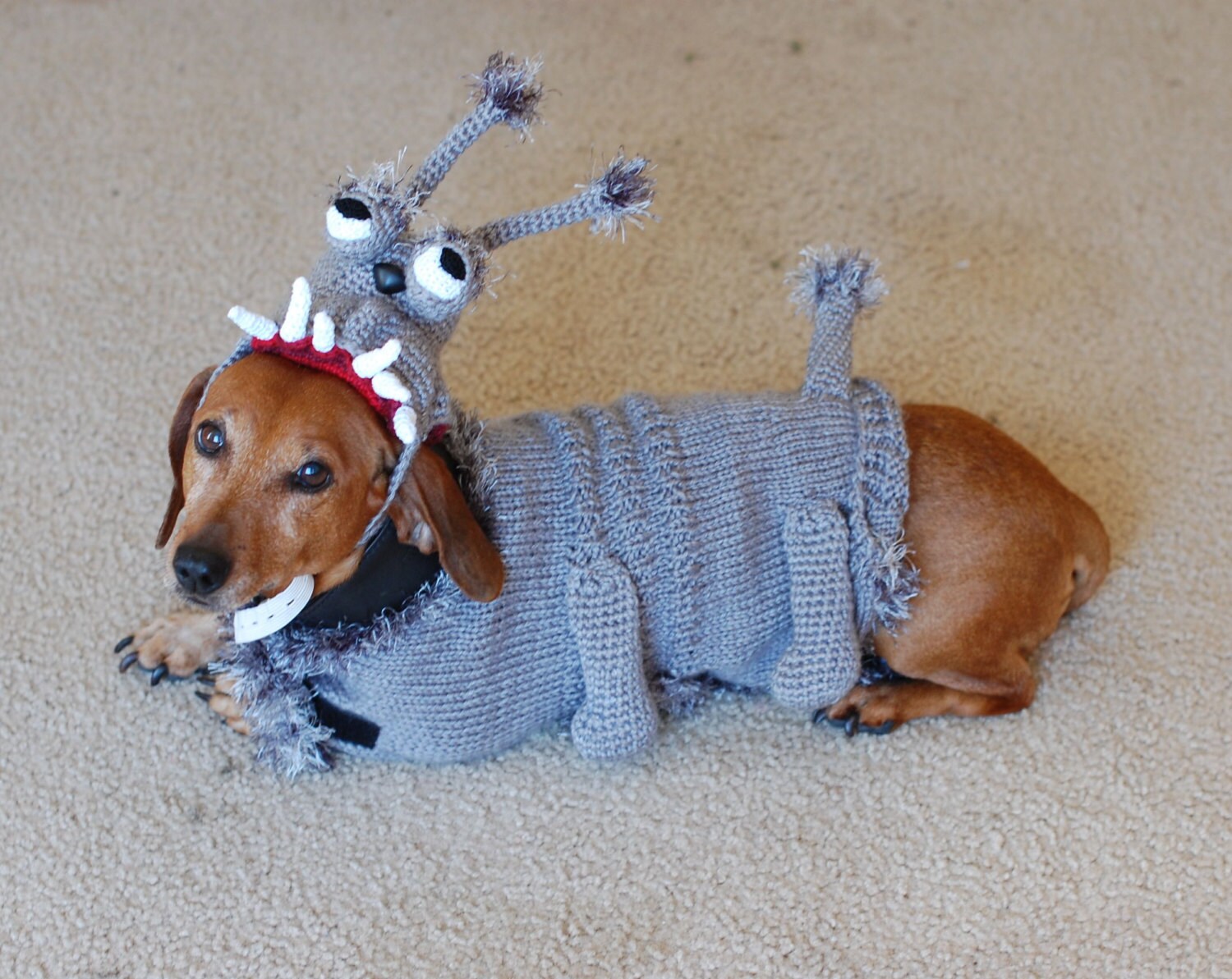 Despicable me Kyle crochet knitted Halloween dog costume