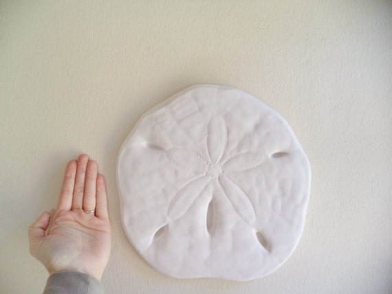 Sand Dollar Wall Decor