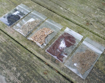 Organic Herb Kit|5 Herbs-Easy to Grow!| Free shipping- MySeedcellar.com-Basil, Oregano, Cilantro, Dill, and Parsley