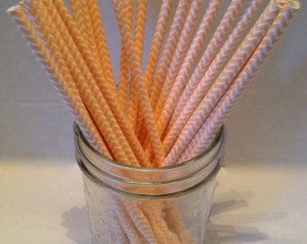 Peach and White Chevron Paper Straws