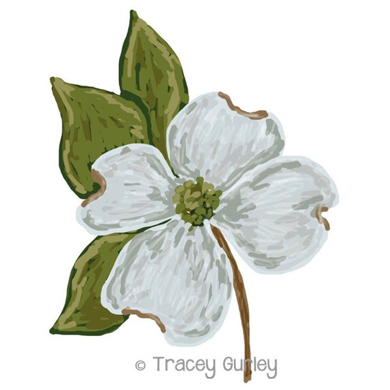 clip art dogwood flower - photo #9