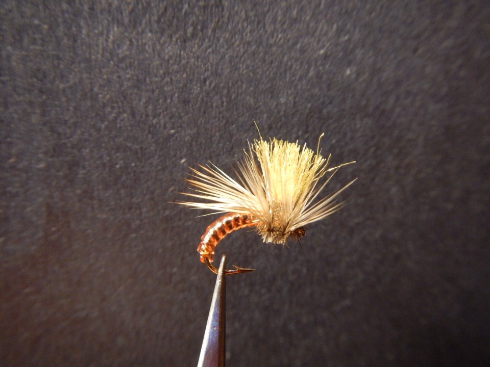 Clown Shoe Caddis by FletchersFlies on Etsy Clown Shoe Caddis by FletchersFlies on Etsy