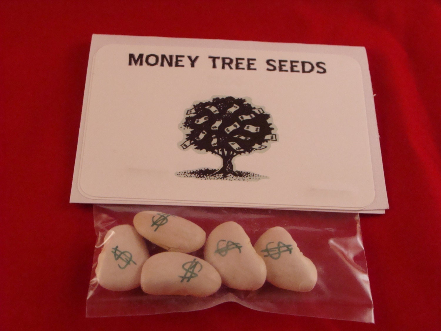 Money Tree Seeds Hillbilly Novelty Gifts by TylersToys4Kids