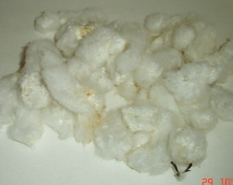 1 FULL Ounce Hand Picked Seeded Raw US Grown Cotton Fiber 4 Felting ...