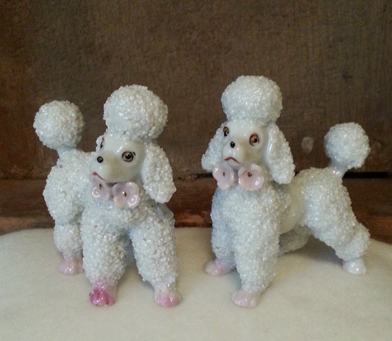 spaghetti porcelain poodles