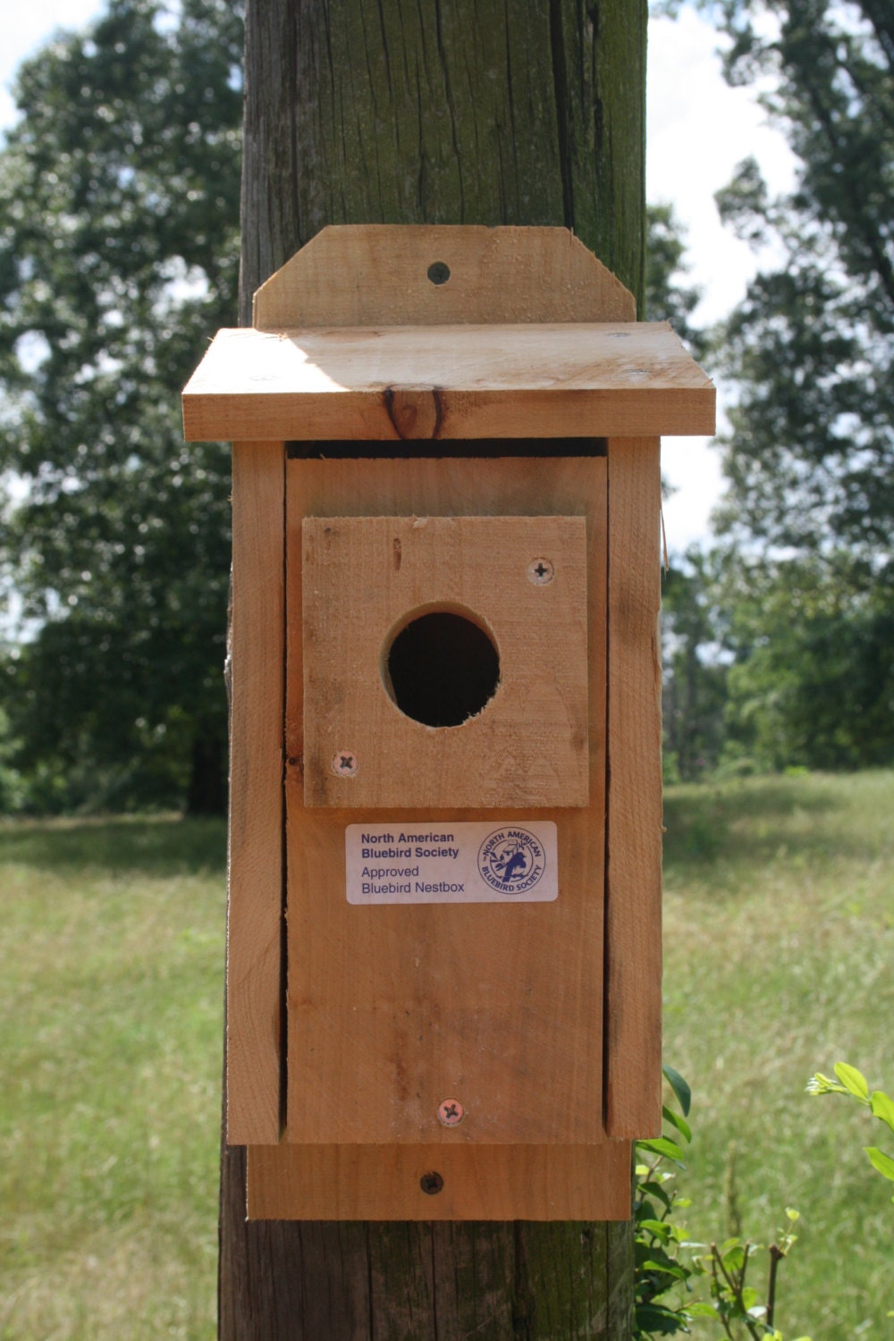 TWO Deluxe Cedar Bluebird Houses w/Predator Guard by DavisFarms