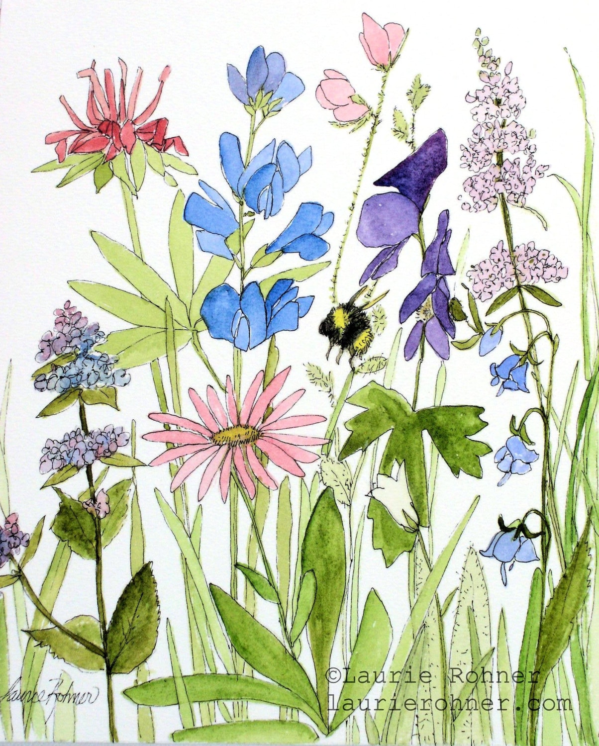 Wildflower Nature Art Watercolor Painting Botanical Garden